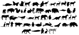 animals.gif (5412 octets)
